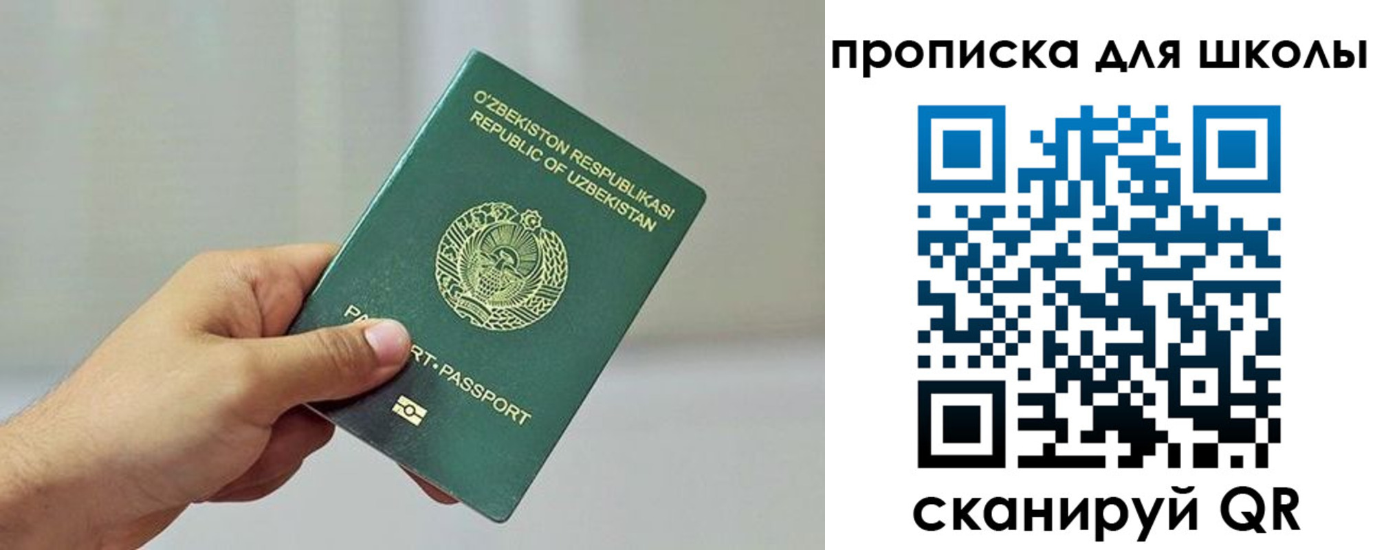 прописка для работы в Сольцах